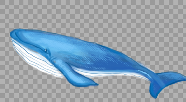 蓝色大鲸鱼图片素材免费下载