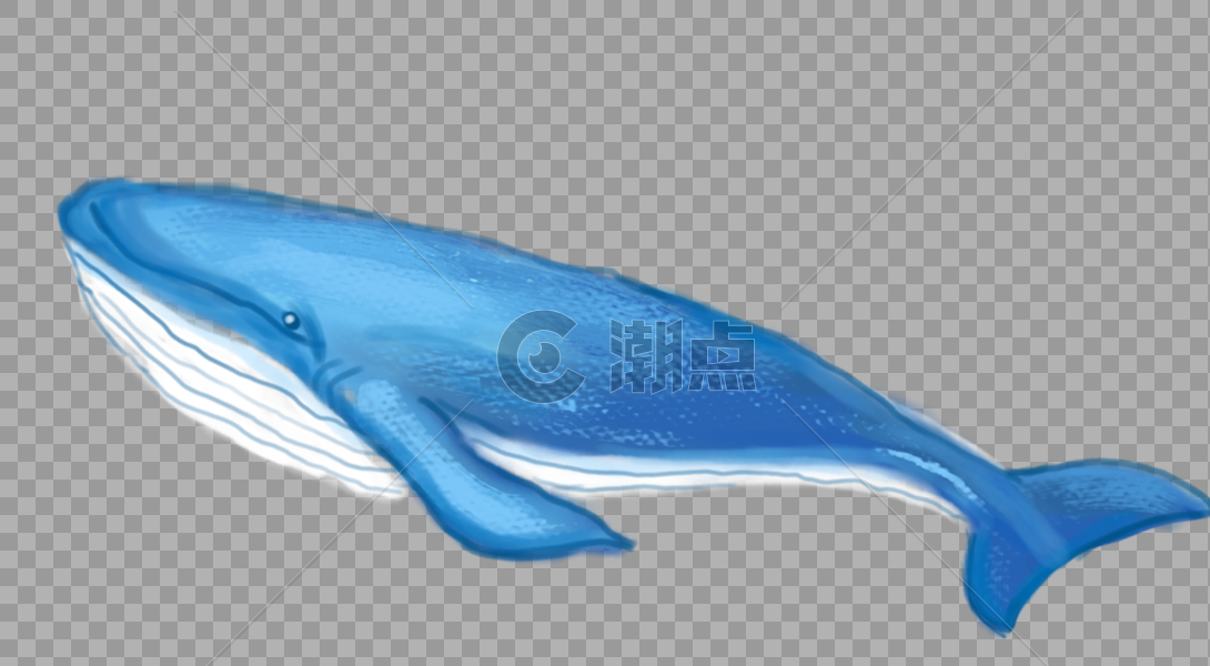 蓝色大鲸鱼图片素材免费下载