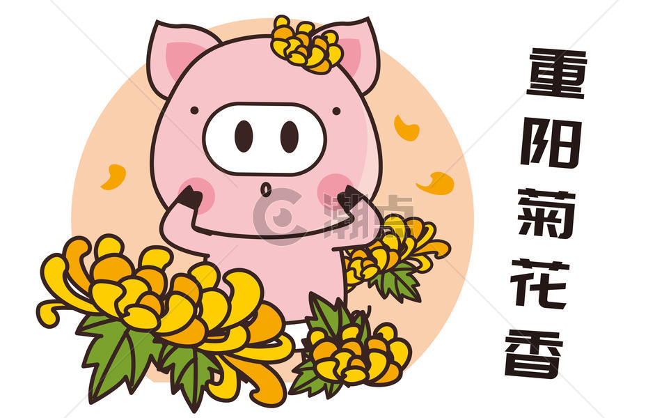 猪小胖卡通形象重阳菊花配图图片素材免费下载