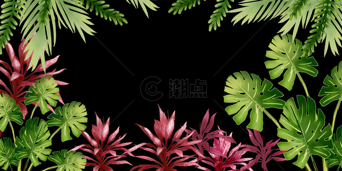 热带绿植背景素材图片素材免费下载