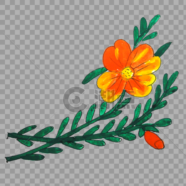 手绘花卉植物图片素材免费下载