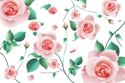 玫瑰花卉背景图片素材免费下载