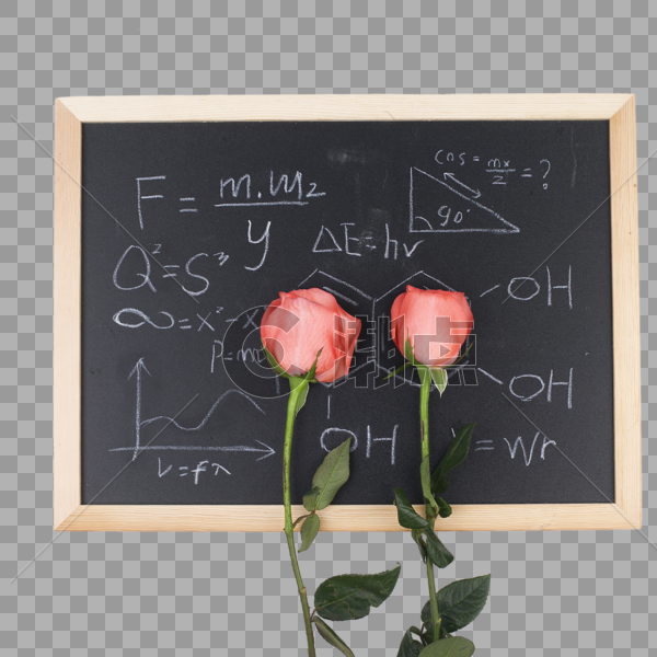黑板上两朵玫瑰花图片素材免费下载