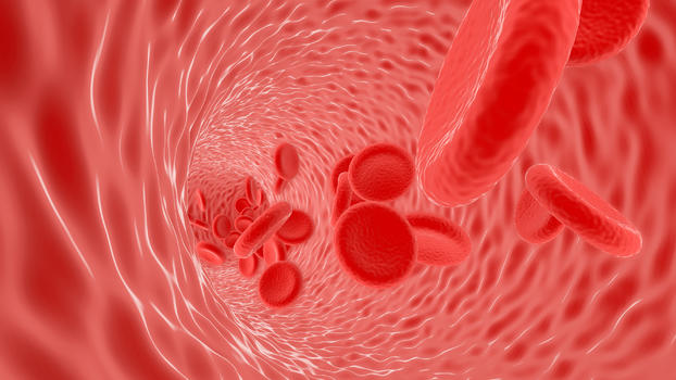 细胞血管场景图片素材免费下载