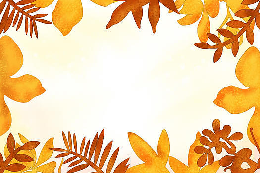 秋叶植物背景图片素材免费下载