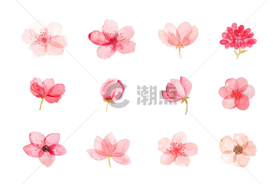 花卉元素图片素材免费下载