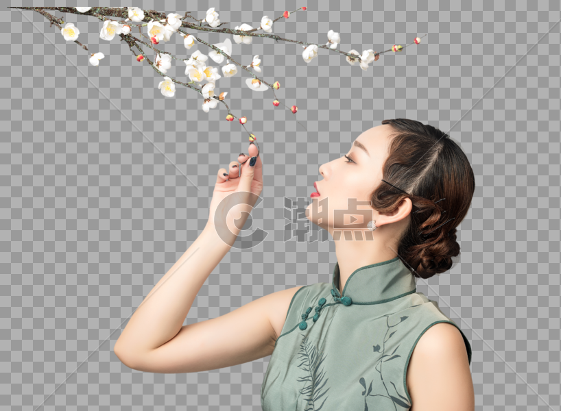 梅花树下的旗袍美女图片素材免费下载