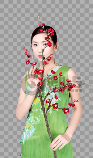 梅花树下身着绿色旗袍的美女图片素材免费下载