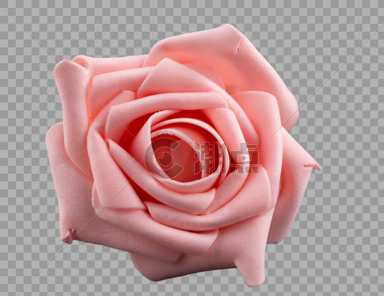 粉红色的玫瑰花图片素材免费下载