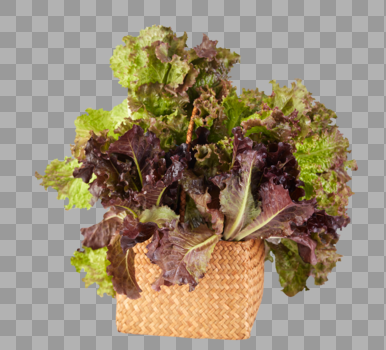 蔬菜图片素材免费下载