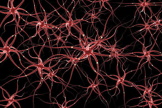 神经细胞传输图片素材免费下载