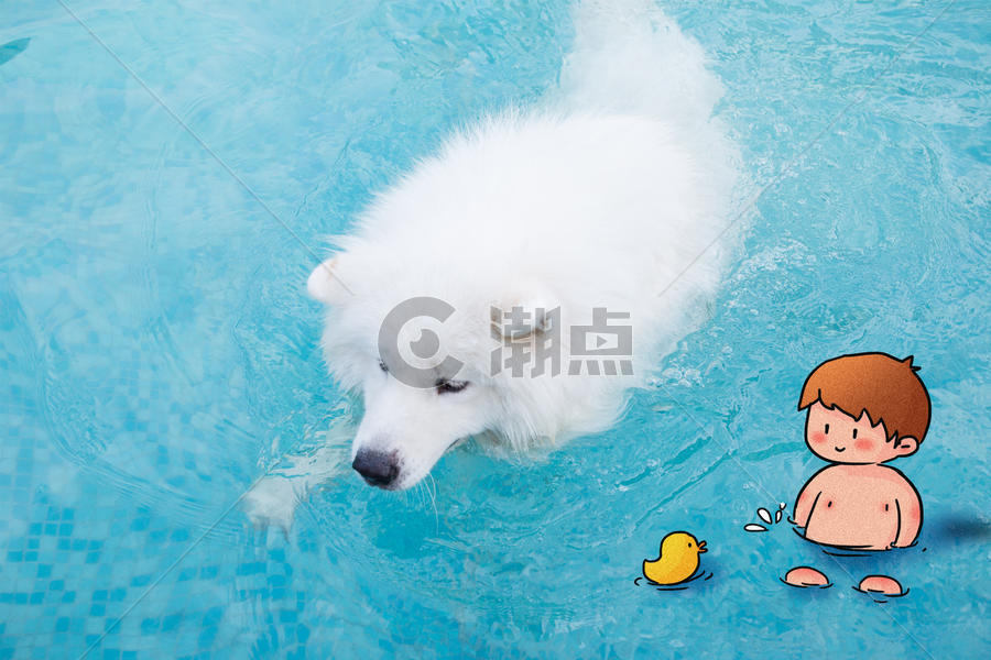 泳池里的小男孩和小狗图片素材免费下载