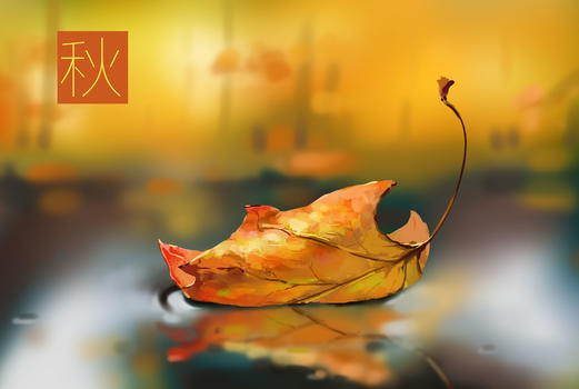 立秋落在水面的枫叶图片素材免费下载
