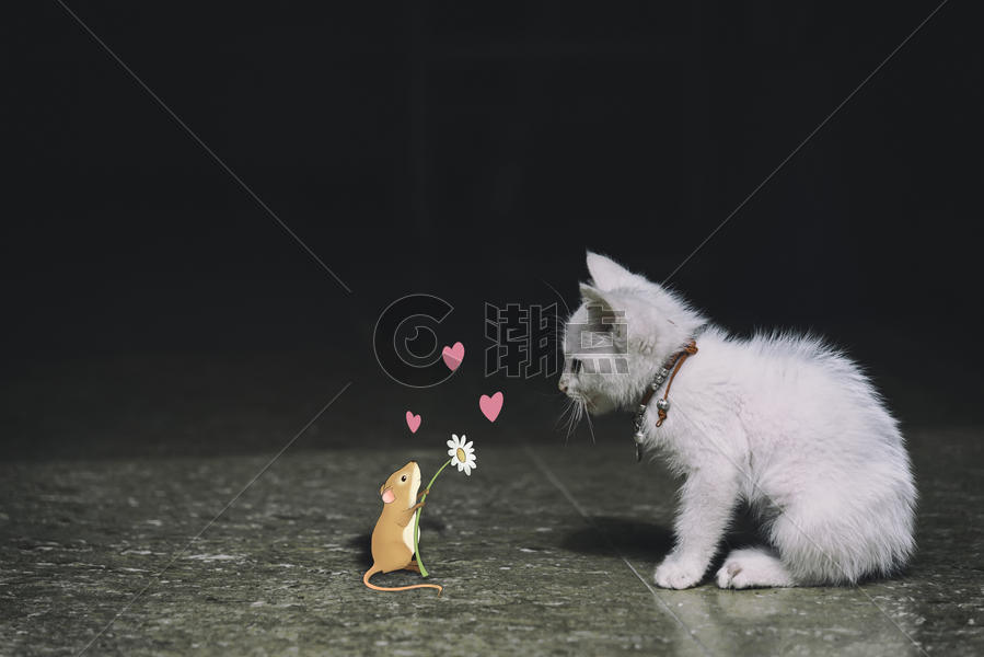 猫和老鼠图片素材免费下载