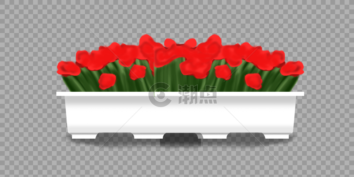 花盆里红花图片素材免费下载