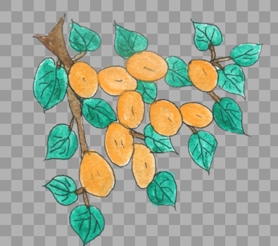 手绘植物树枝黄色果实图片素材免费下载