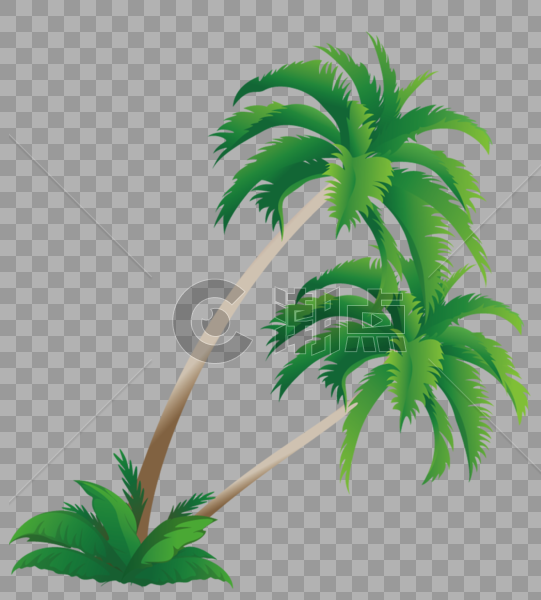 绿色椰子树图片素材免费下载
