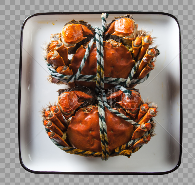 美味的大闸蟹图片素材免费下载