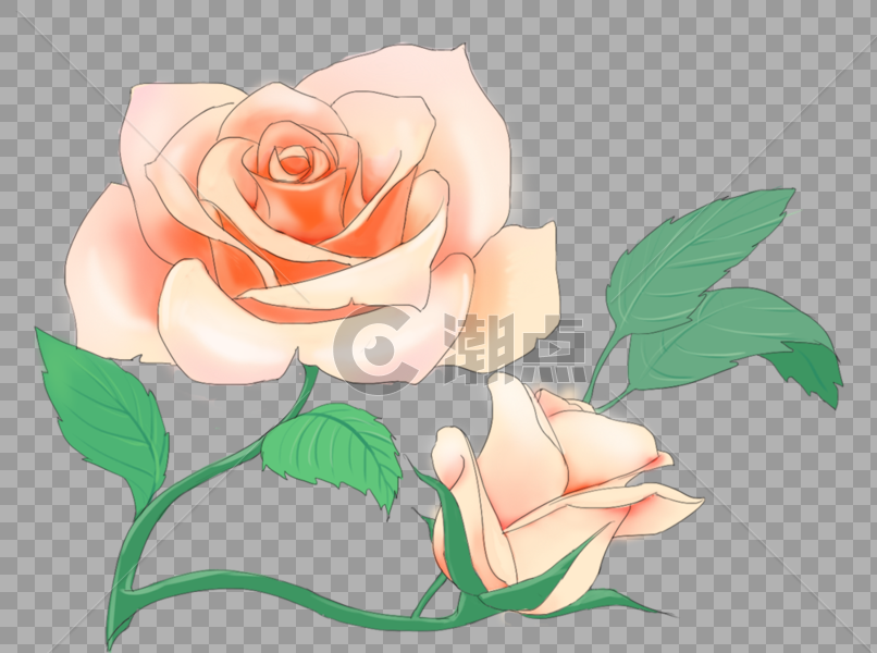 小清新 手绘玫瑰花图片素材免费下载
