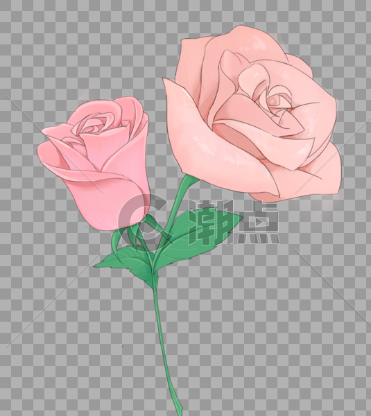粉色玫瑰花图片素材免费下载