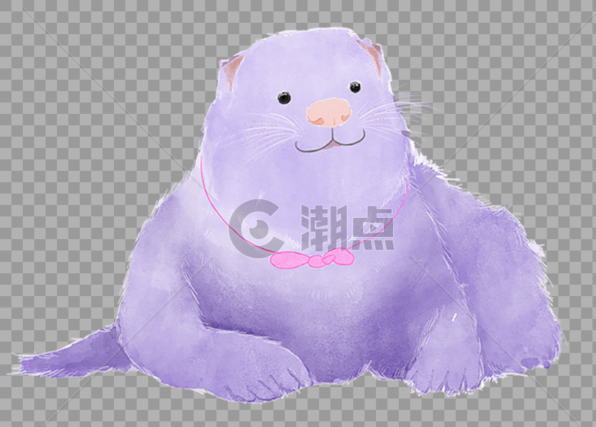 紫色的海狮图片素材免费下载