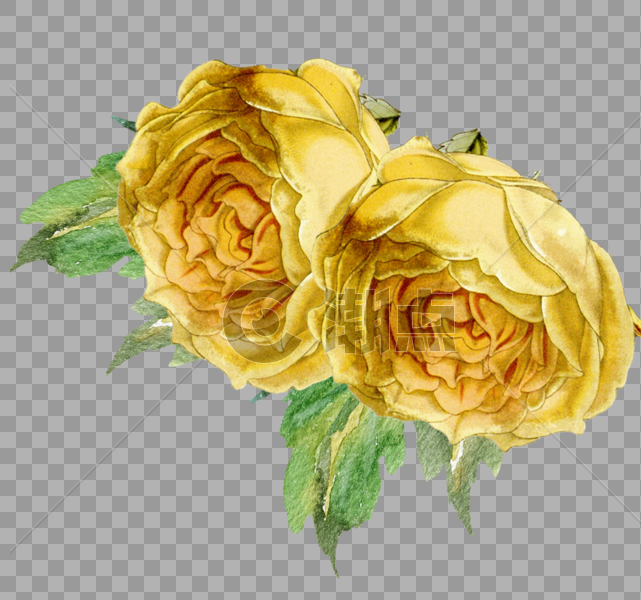 手绘黄色花朵图片素材免费下载