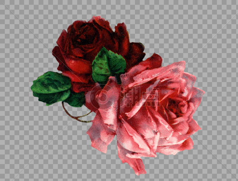 手绘玫瑰花图片素材免费下载