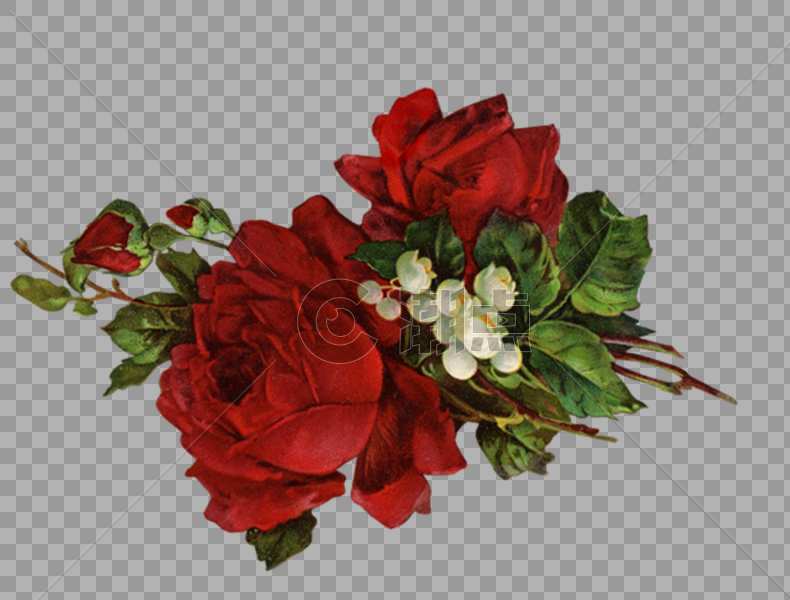 红玫瑰白铃花图片素材免费下载