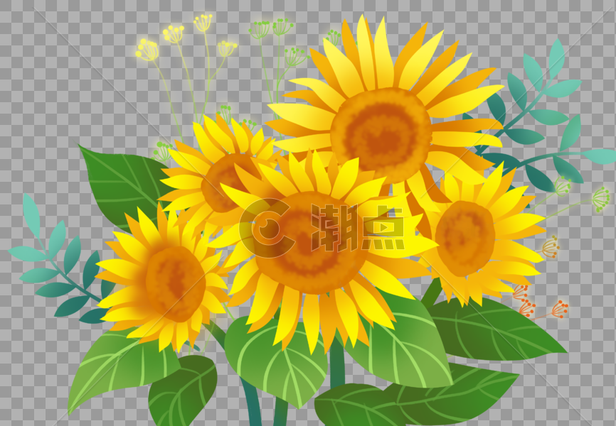 向日葵花束图片素材免费下载