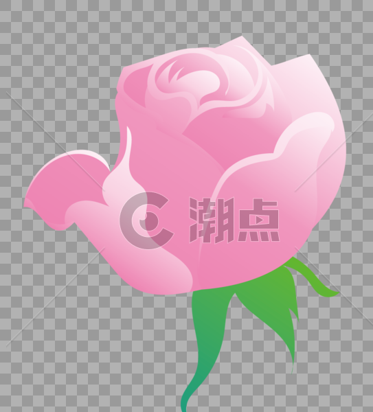 粉色玫瑰花图片素材免费下载