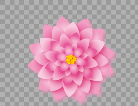 美丽粉色花朵装饰图片素材免费下载