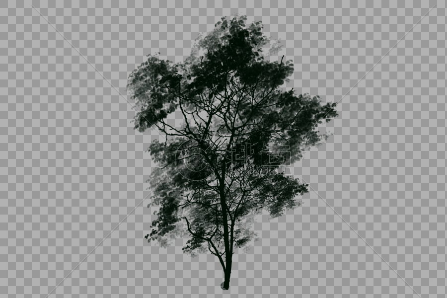 树图片素材免费下载