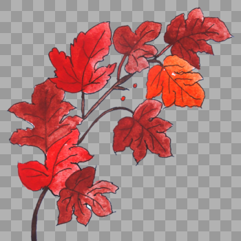 红色花卉图片素材免费下载