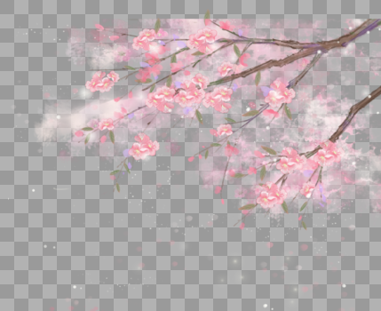 唯美树枝粉色花图片素材免费下载