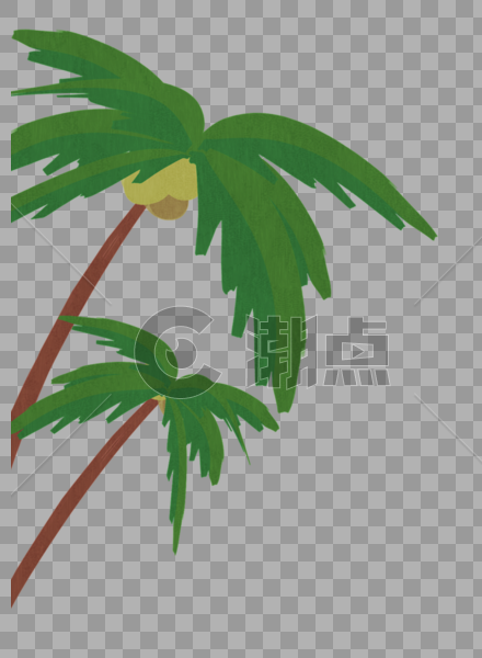 椰子树图片素材免费下载
