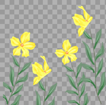 黄色花卉植物图片素材免费下载