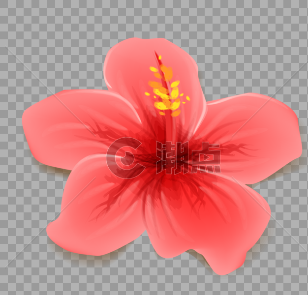 红色花朵图片素材免费下载
