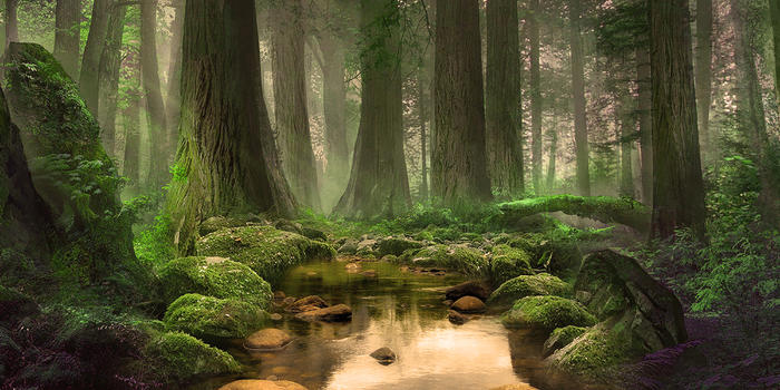 创意森林背景图片素材免费下载