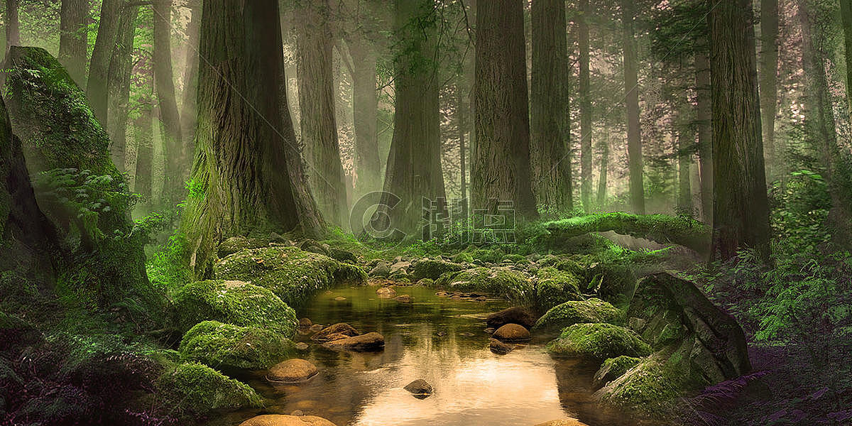 创意森林背景图片素材免费下载