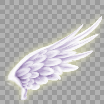天使的翅膀图片素材免费下载