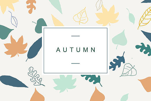 秋季植物叶片背景素材图片素材免费下载