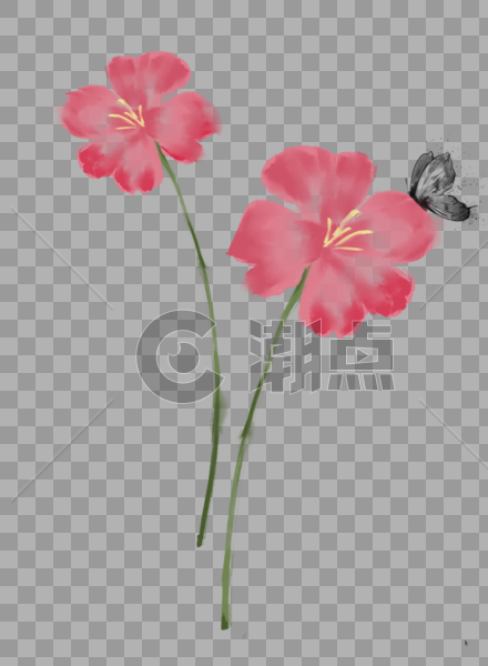 花卉图片素材免费下载