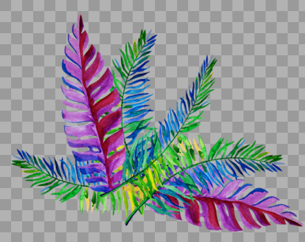 彩色植物树叶图片素材免费下载