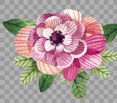 手绘花卉图片素材免费下载