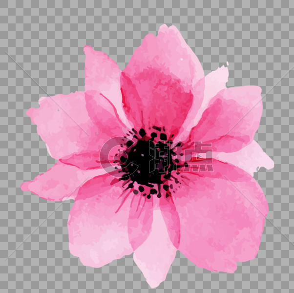 粉色手绘花朵图片素材免费下载