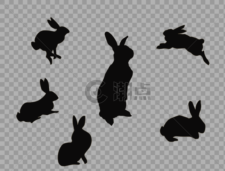 兔子图片素材免费下载