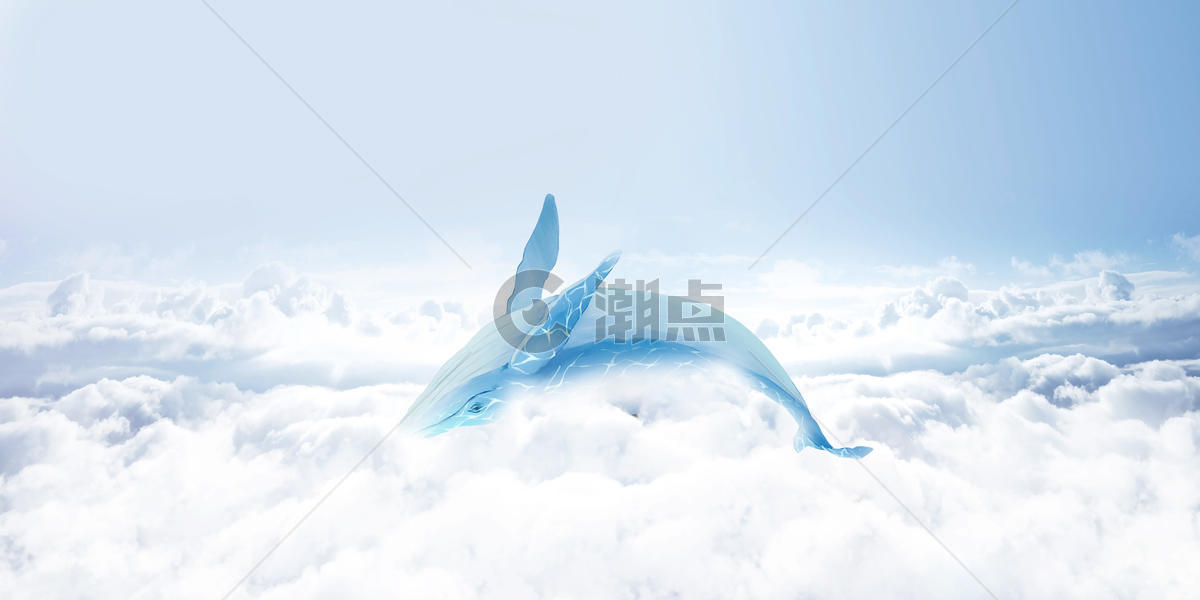 翱翔的鲸鱼图片素材免费下载