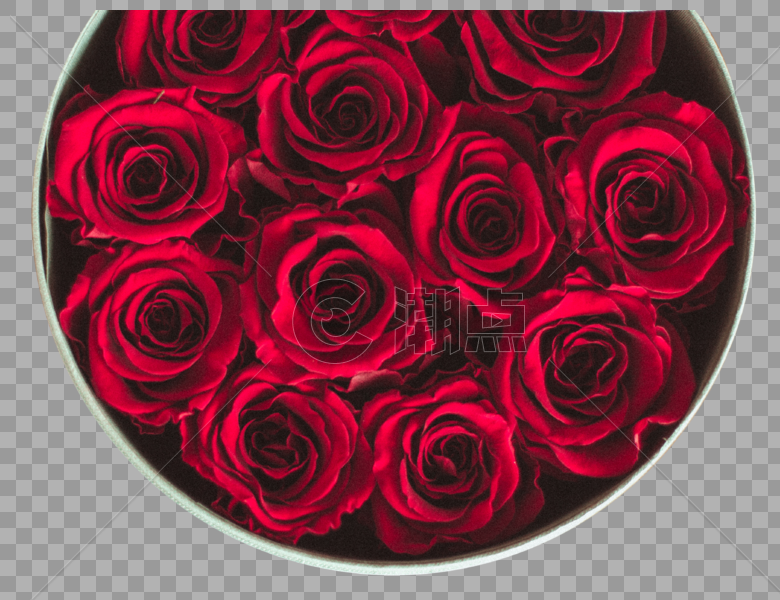 玫瑰永生花图片素材免费下载