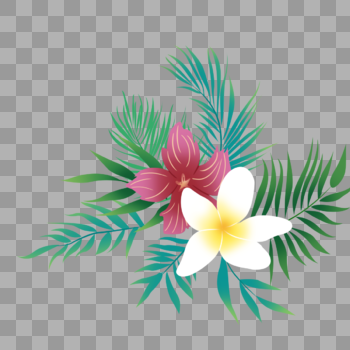 热带植物花卉图片素材免费下载