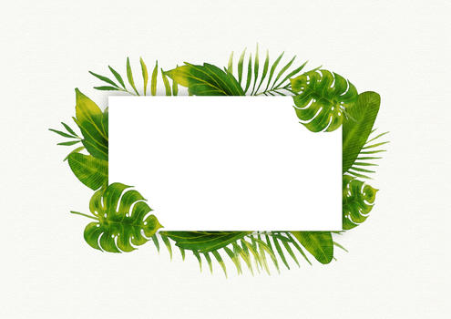 热带植物叶子图片素材免费下载